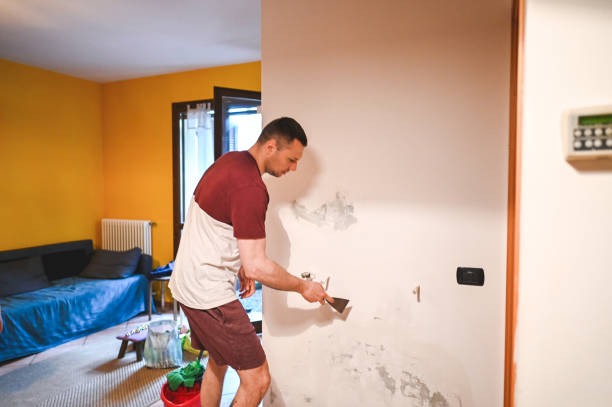 Best Attic Mold Remediation in Pioneer, CA
